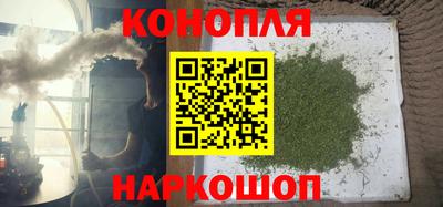 ECSTASY Новозыбков