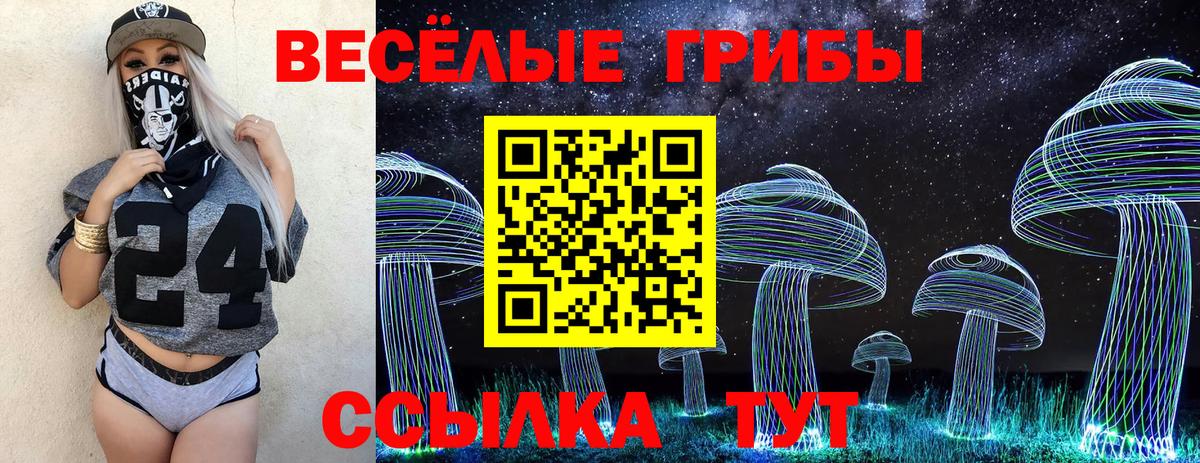 купить наркотики сайты  Галлюциногенные грибы ЛСД  Вход с VPN  Псилоцибиновые грибы мухоморы  Ачинск 